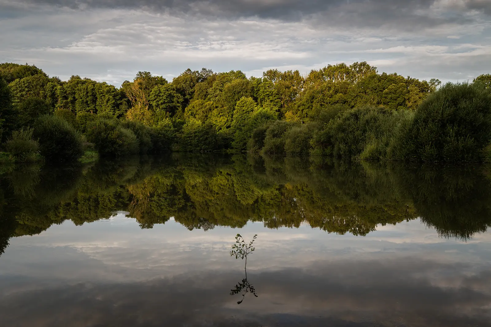 Un des étangs du site des Basses Eaux