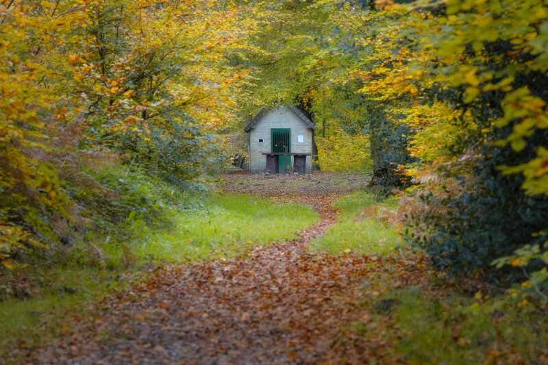Chapelle Saint Maur en forêt de Brotonne en automne.