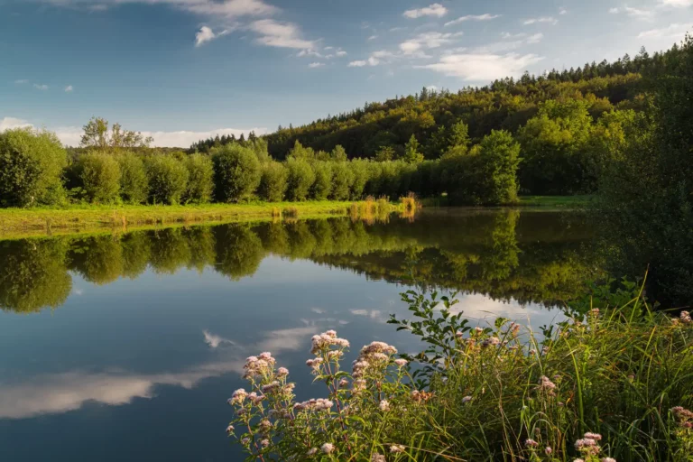 Les Basses Eaux en été