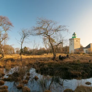 Le phare du cap d'Ailly entouré de lande