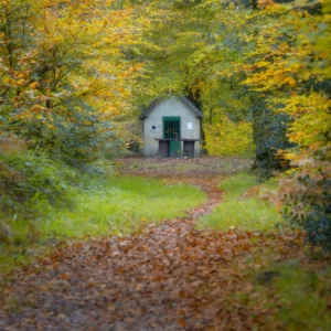 La chapelle Saint Maur en autome