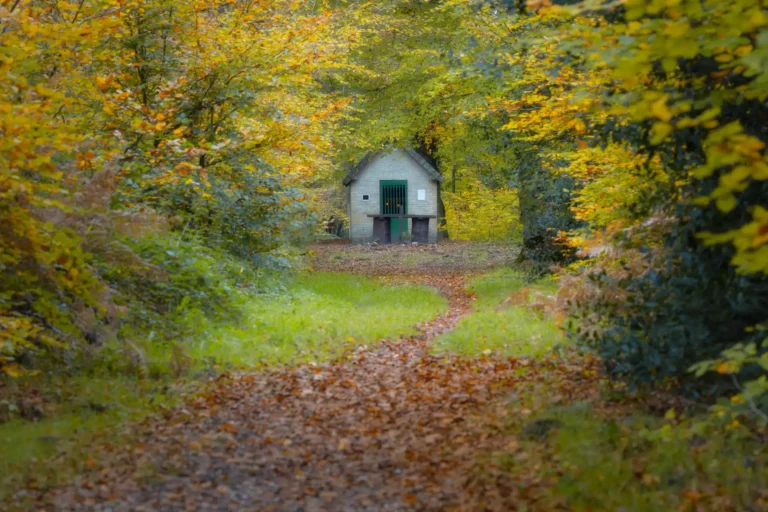 La chapelle Saint Maur en autome