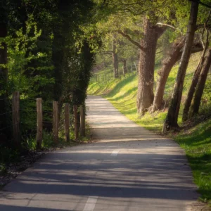 Chemin à Veulettes sur mer