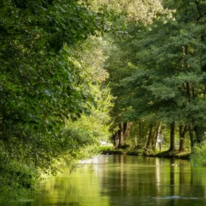 La Durdent serpente au milieu des arbres