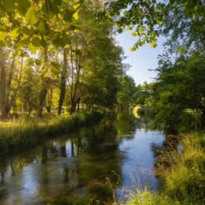 Sur les rives de la Durdent