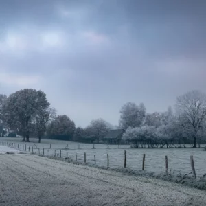 Scène hivernale à Hautot Saint Sulpice