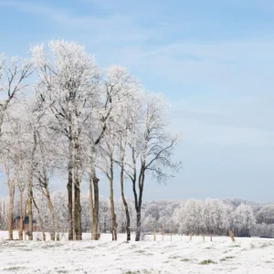 Le Pays de Caux sous la neige