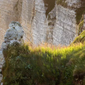 Le soleil éclaire le bord de la falaise