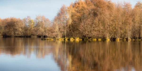 Apprendre la photo de paysage