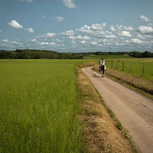 Personne à cheval sur une petite route du Pays de Caux