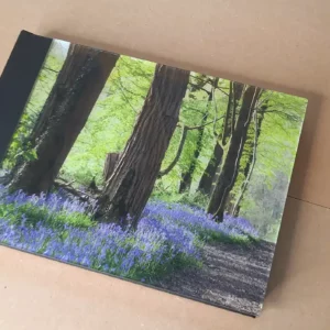 Couverture du livre photo
