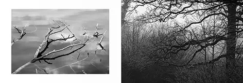 Livre photo noir et blanc